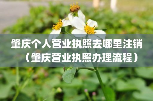 肇庆个人营业执照去哪里注销（肇庆营业执照办理流程）