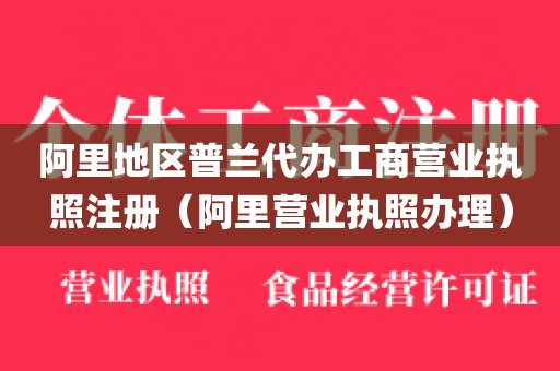 阿里地区普兰代办工商营业执照注册（阿里营业执照办理）