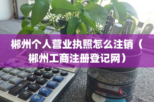 郴州个人营业执照怎么注销（郴州工商注册登记网）