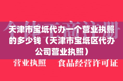 天津市宝坻代办一个营业执照的多少钱（天津市宝坻区代办公司营业执照）