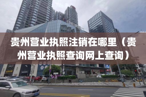 贵州营业执照注销在哪里（贵州营业执照查询网上查询）