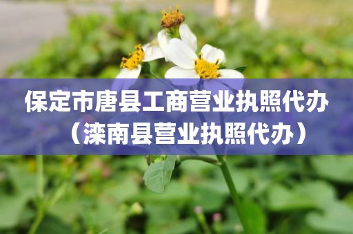 保定市唐县工商营业执照代办（滦南县营业执照代办）