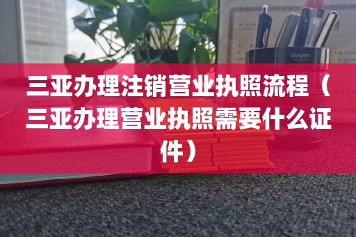 三亚办理注销营业执照流程（三亚办理营业执照需要什么证件）