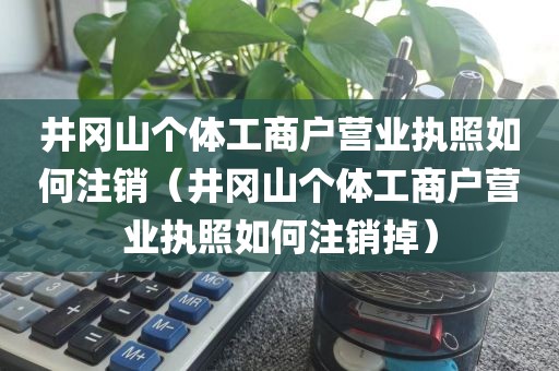 井冈山个体工商户营业执照如何注销（井冈山个体工商户营业执照如何注销掉）