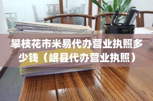 攀枝花市米易代办营业执照多少钱（岷县代办营业执照）