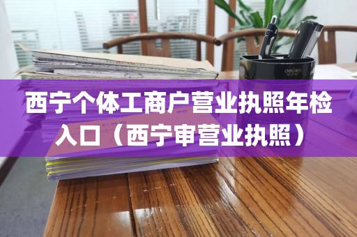 西宁个体工商户营业执照年检入口(西宁审营业执照)