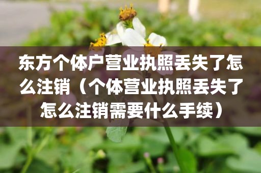 东方个体户营业执照丢失了怎么注销（个体营业执照丢失了怎么注销需要什么手续）