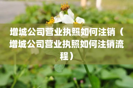 增城公司营业执照如何注销（增城公司营业执照如何注销流程）