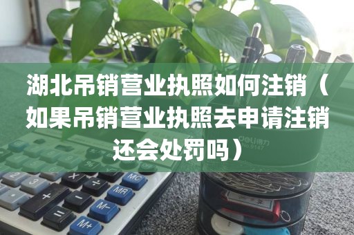 湖北吊销营业执照如何注销（如果吊销营业执照去申请注销还会处罚吗）