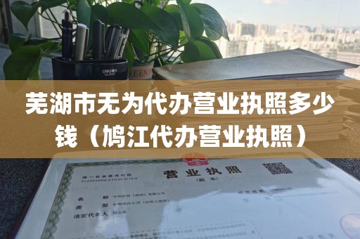 芜湖市无为代办营业执照多少钱（鸠江代办营业执照）