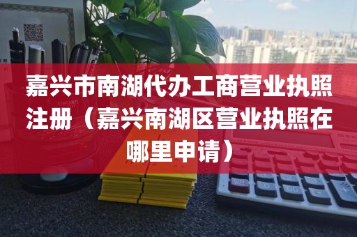 嘉兴市南湖代办工商营业执照注册（嘉兴南湖区营业执照在哪里申请）