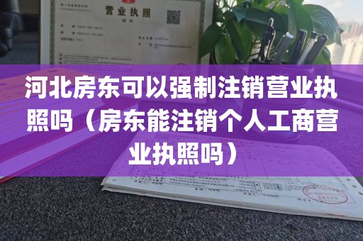 河北房东可以强制注销营业执照吗（房东能注销个人工商营业执照吗）