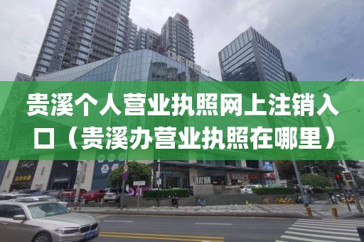 贵溪个人营业执照网上注销入口（贵溪办营业执照在哪里）