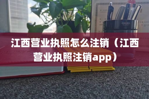 江西营业执照怎么注销（江西营业执照注销app）