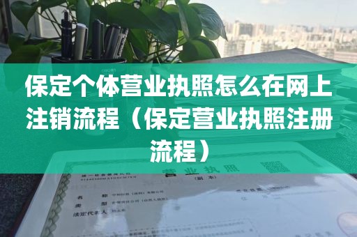 保定个体营业执照怎么在网上注销流程（保定营业执照注册流程）