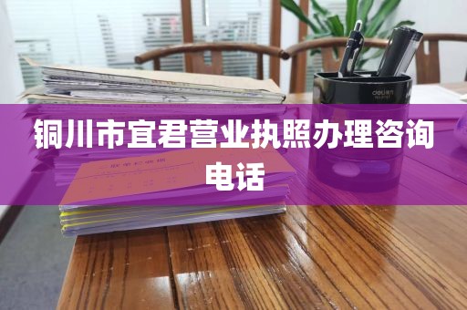 铜川市宜君营业执照办理咨询电话