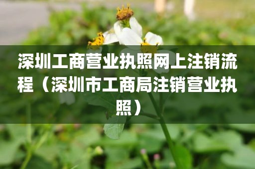 深圳工商营业执照网上注销流程(深圳市工商局注销营业执照)