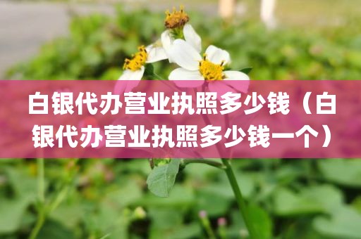 白银代办营业执照多少钱(白银代办营业执照多少钱一个)