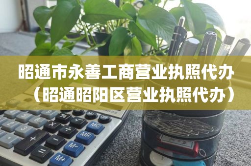 昭通市永善工商营业执照代办（昭通昭阳区营业执照代办）