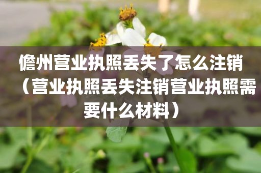 儋州营业执照丢失了怎么注销（营业执照丢失注销营业执照需要什么材料）