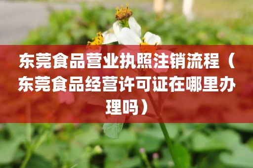 东莞食品营业执照注销流程（东莞食品经营许可证在哪里办理吗）