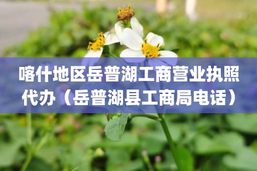 喀什地区岳普湖工商营业执照代办（岳普湖县工商局电话）