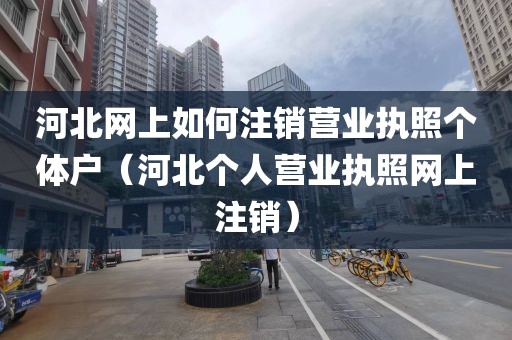 河北网上如何注销营业执照个体户（河北个人营业执照网上注销）