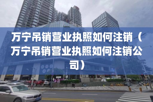 万宁吊销营业执照如何注销(万宁吊销营业执照如何注销公司)