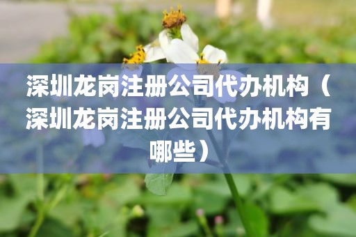 深圳龙岗注册公司代办机构（深圳龙岗注册公司代办机构有哪些）