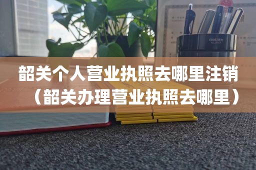 韶关个人营业执照去哪里注销（韶关办理营业执照去哪里）
