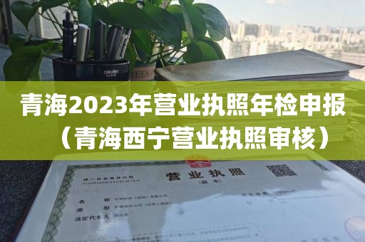 青海2023年营业执照年检申报（青海西宁营业执照审核）