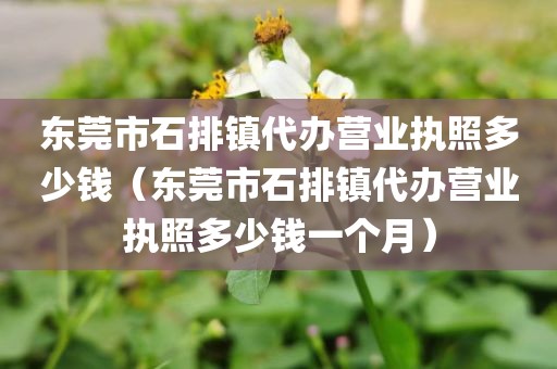 东莞市石排镇代办营业执照多少钱（东莞市石排镇代办营业执照多少钱一个月）