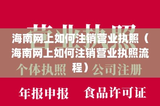 海南网上如何注销营业执照（海南网上如何注销营业执照流程）