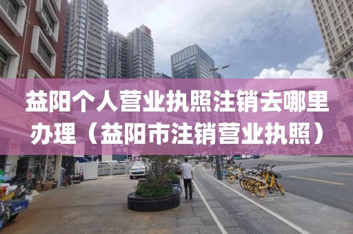 益阳个人营业执照注销去哪里办理（益阳市注销营业执照）