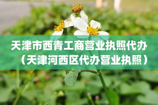 天津市西青工商营业执照代办(天津河西区代办营业执照)