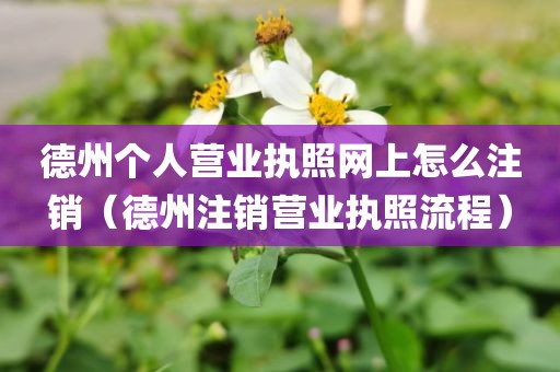 德州个人营业执照网上怎么注销（德州注销营业执照流程）