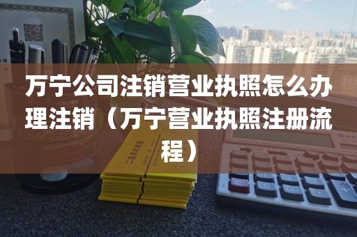 万宁公司注销营业执照怎么办理注销（万宁营业执照注册流程）