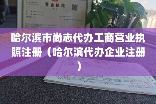 哈尔滨市尚志代办工商营业执照注册（哈尔滨代办企业注册）