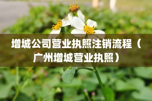 增城公司营业执照注销流程（广州增城营业执照）