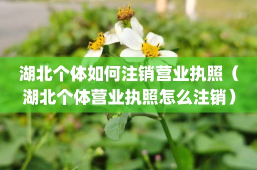 湖北个体如何注销营业执照（湖北个体营业执照怎么注销）