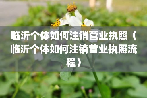 临沂个体如何注销营业执照（临沂个体如何注销营业执照流程）