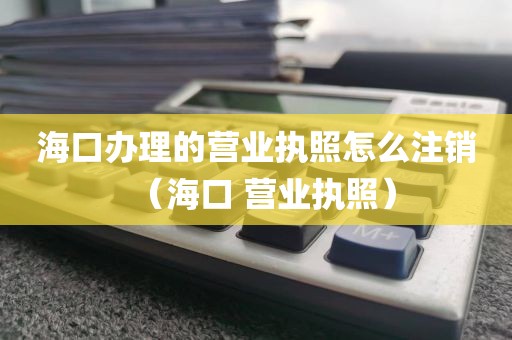 海口办理的营业执照怎么注销(海口 营业执照)