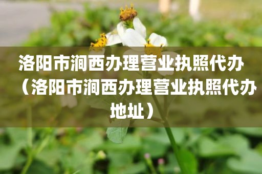 洛阳市涧西办理营业执照代办（洛阳市涧西办理营业执照代办地址）