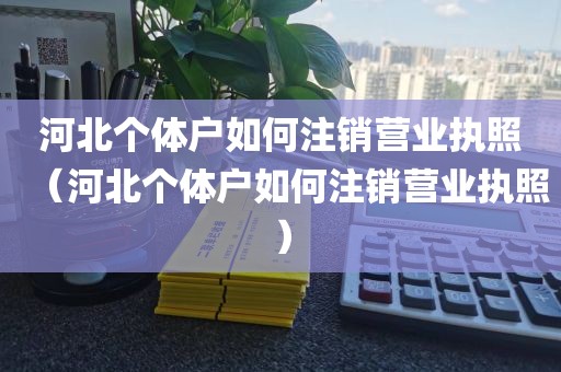 河北个体户如何注销营业执照（河北个体户如何注销营业执照）