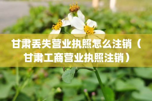 甘肃丢失营业执照怎么注销（甘肃工商营业执照注销）