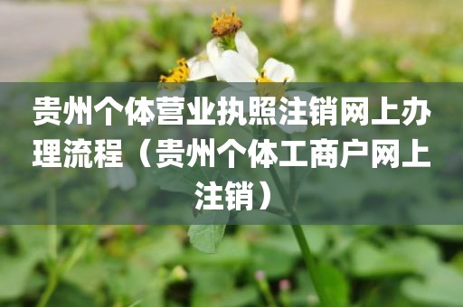 贵州个体营业执照注销网上办理流程（贵州个体工商户网上注销）