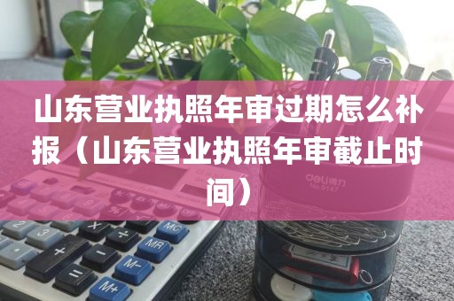 山东营业执照年审过期怎么补报（山东营业执照年审截止时间）