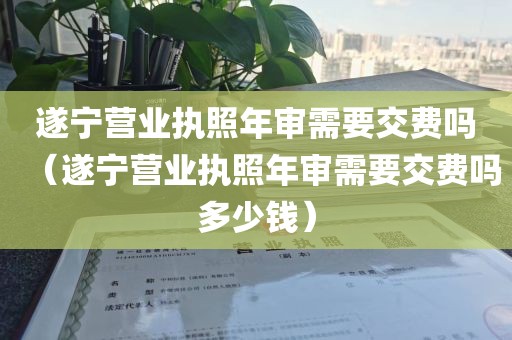 遂宁营业执照年审需要交费吗（遂宁营业执照年审需要交费吗多少钱）