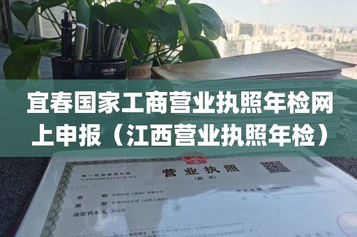 宜春国家工商营业执照年检网上申报（江西营业执照年检）