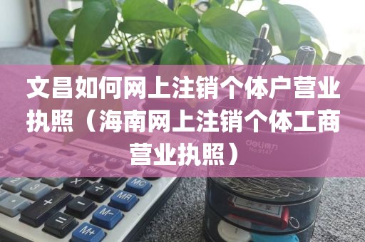 文昌如何网上注销个体户营业执照（海南网上注销个体工商营业执照）